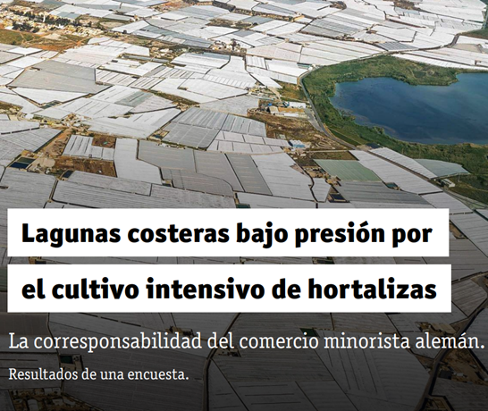 Un informe hace a las cadenas de supermercados alemanas corresponsables de la destrucción de lagunas protegidas