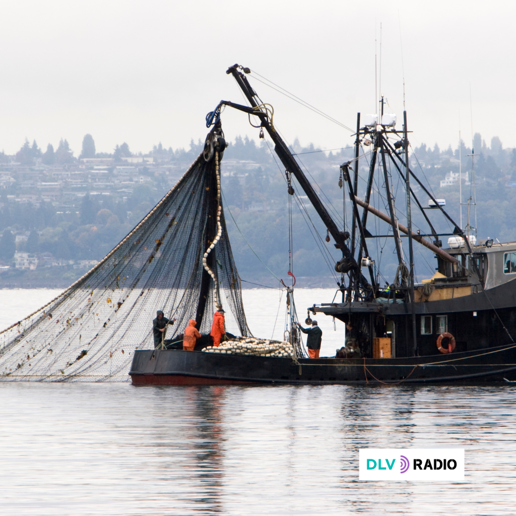 Las organizaciones ecologistas exigen un reparto de cuotas que premie las prácticas pesqueras de menor impacto