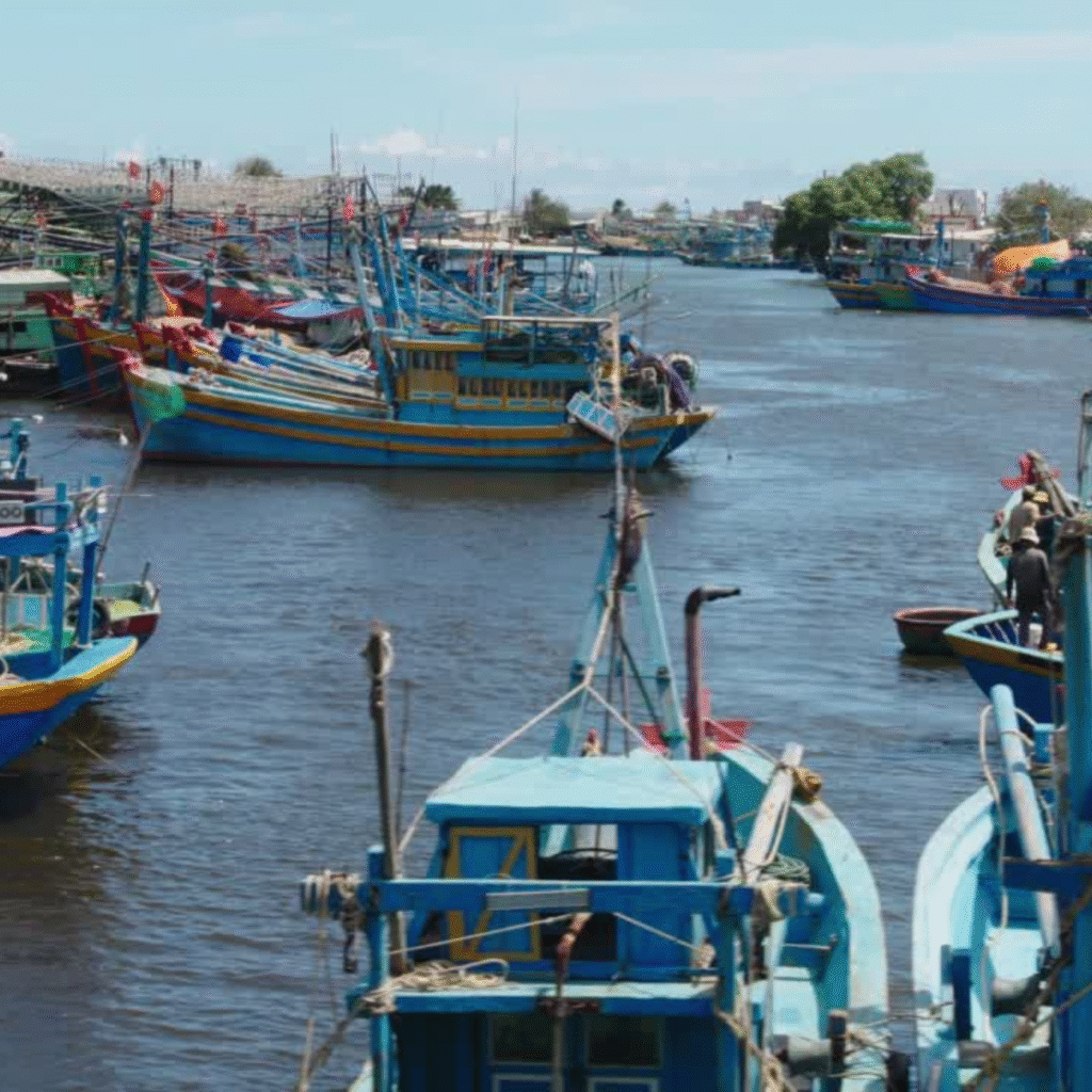 Las organizaciones ambientales exigen al Gobierno blindar el reparto justo de derechos de pesca de acuerdo con las directrices europeas
