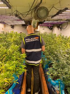 La Policía Nacional desmantela una vivienda dedicada al cultivo indoor de marihuana en Girona