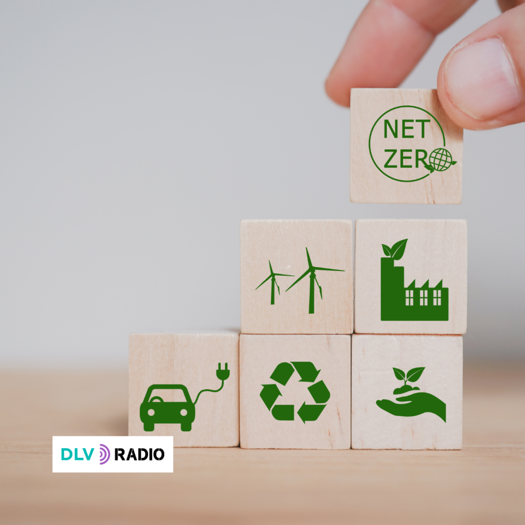 Un año más, consumo responsable y boicot a Israel en las compras navideñas