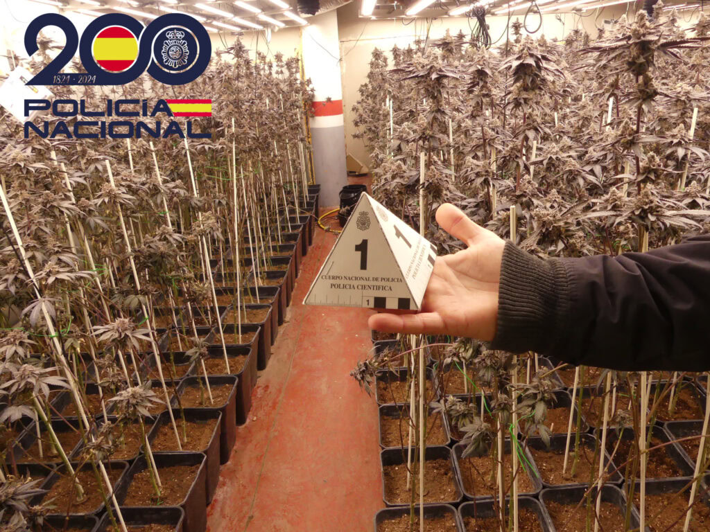 Policía Nacional  desarticula un grupo criminal de origen serbio dedicado al cultivo de plantaciones de marihuana