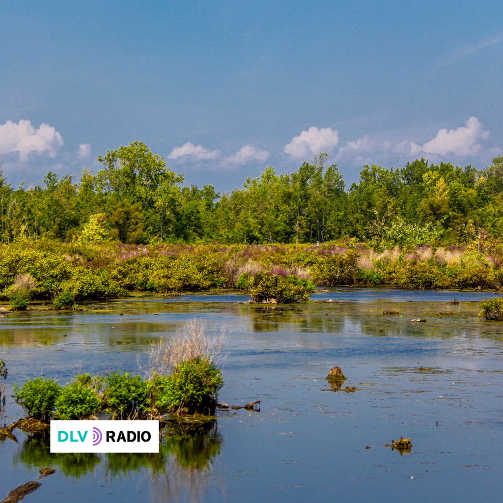 2 de febrero, Día Mundial de los Humedales