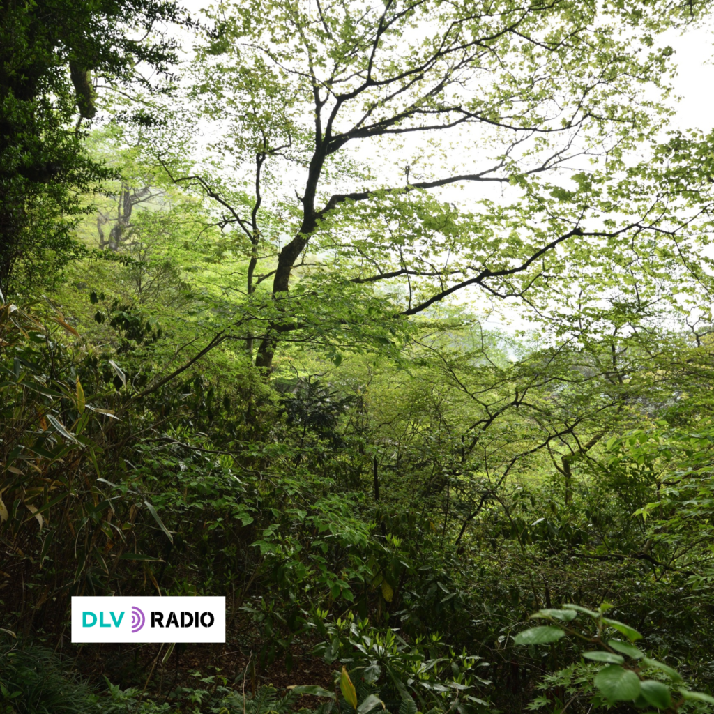 La coalición Hands Off Nature lanza una nueva campaña contra el retroceso de las normativas ambientales europeas