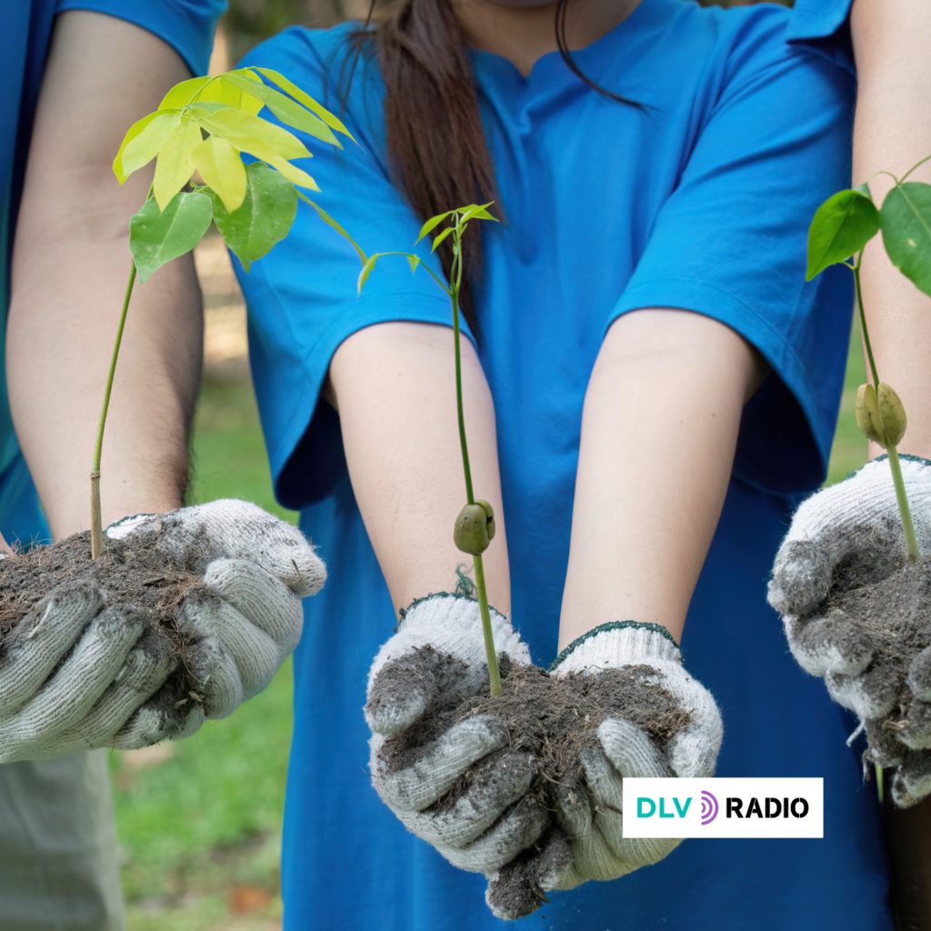 El Estado español invierte cuatro veces más en destruir la naturaleza que en cuidarla
