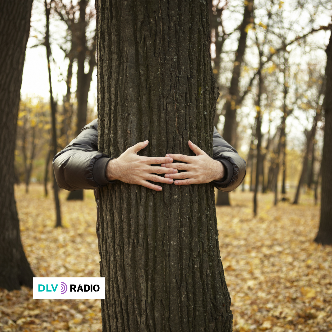 La Unión Europea, señalada por favorecer a quienes dañan el medio ambiente