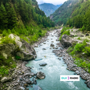 El ecopostureo dejará de ser rentable a las empresas: tres finalistas optan al premio Eco Bling-Bling