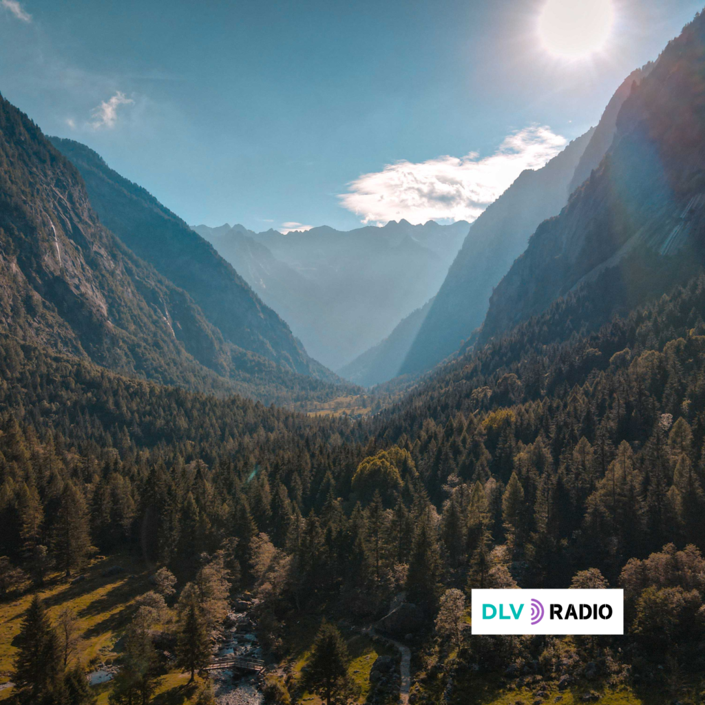 Día Mundial de la Vida Silvestre