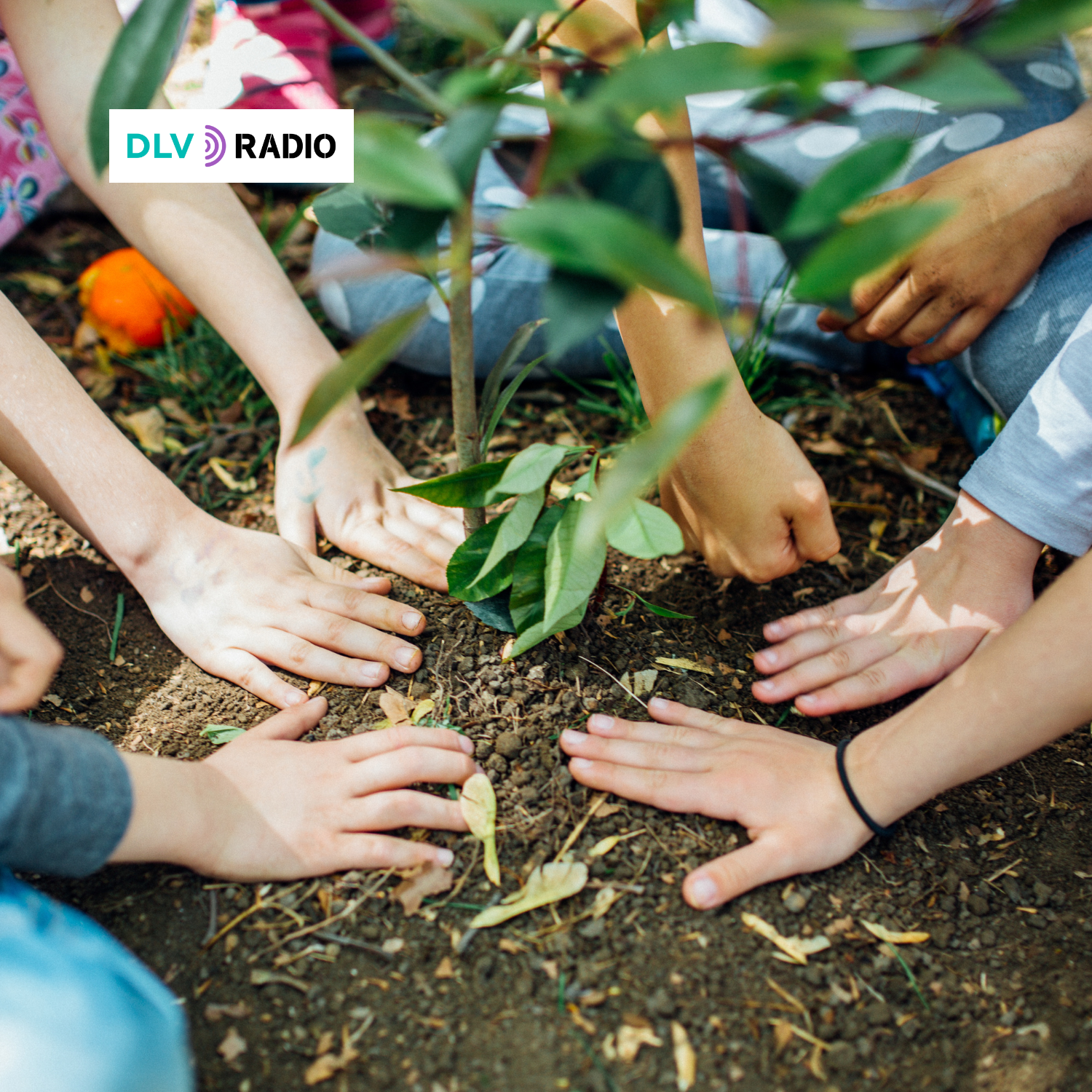 Día de la Tierra, 22 de abril