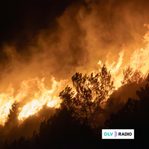 Ecologistas en Acción lamenta la pérdida de vidas humanas y muestra su solidaridad con quienes luchan contra el incendio de Almería