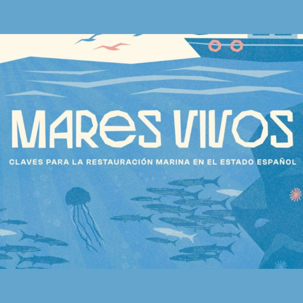 Mares Vivos: Ecologistas en Acción identifica las claves para restaurar los ecosistemas marinos en el Estado español