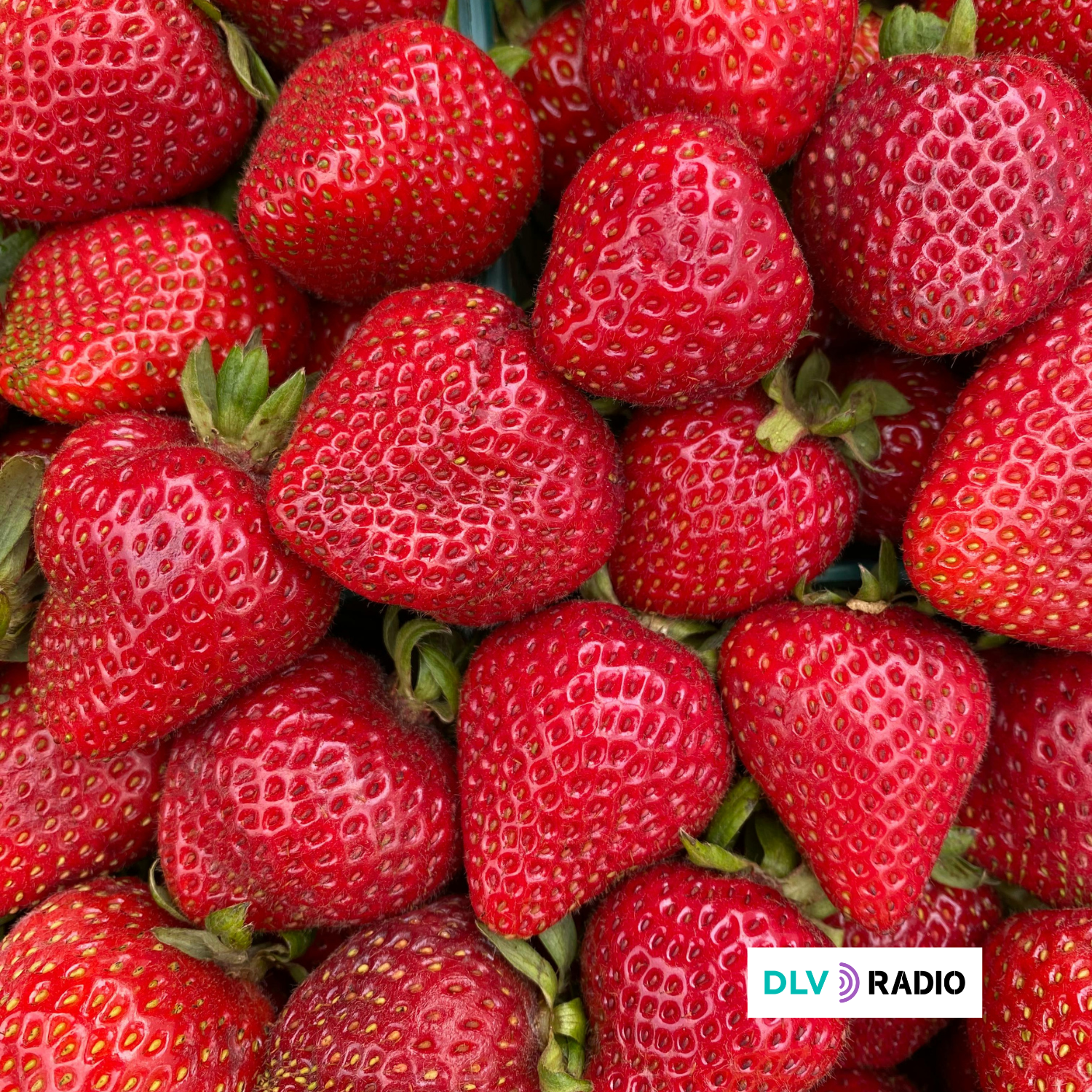 Las fresas españolas, entre las menos contaminadas por plaguicidas de Europa