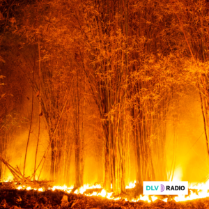 Solidaridad, rigor y ciencia ante el drama de los incendios