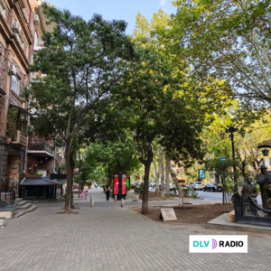 "Aquí falta un árbol–Ecomapa 2026"