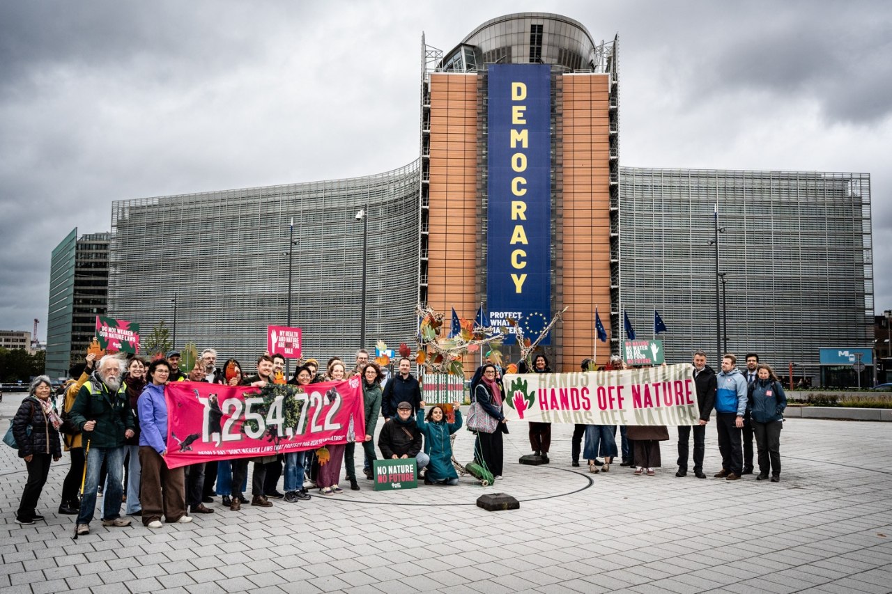 Más de 1,25 millones de personas exigen a la Unión Europea que frene el debilitamiento de sus leyes ambientales